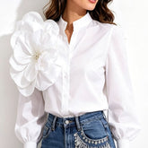 Lantern Sleeve Blouse for Women